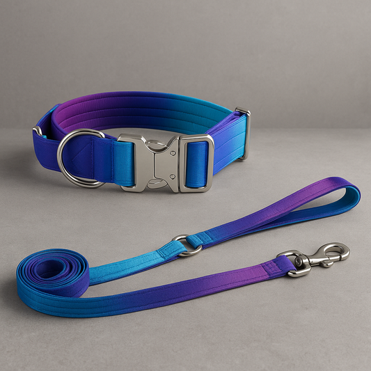 Gradient Dog Collar & Leash