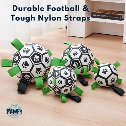 Pawfy Durable Doggie Ball