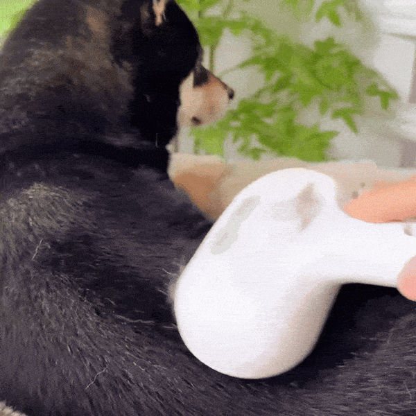 Steam Pet Grooming Brush