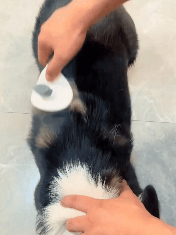Effortless Pet Hair Comb