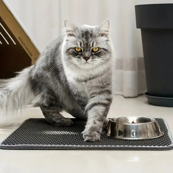 Easy Clean Cat Litter Mat