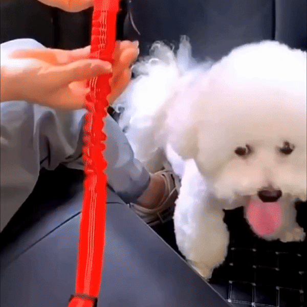Safe & Comfy Dog Car Harness