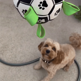 Durable Dog Ball