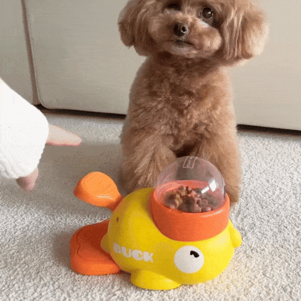 Duck Treat Feeder