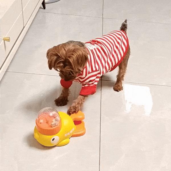 Duck Treat Feeder