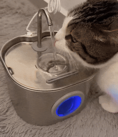 HydroVet™  Cat Hydration Fountain