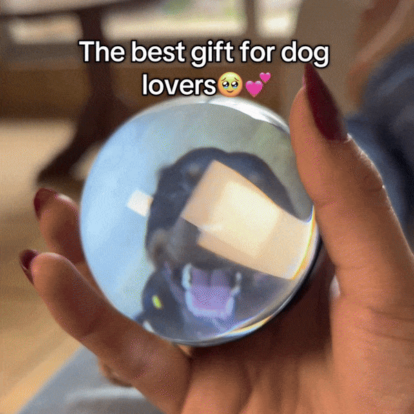 Pawfy Viral Memory Ball