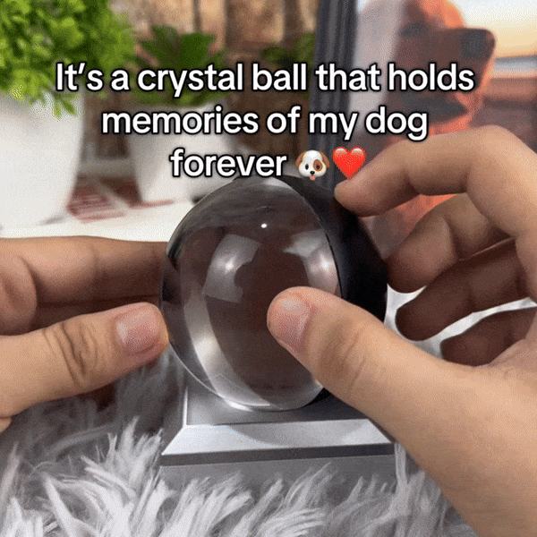 Pawfy Viral Memory Ball