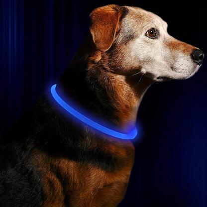 GlowSafe Dog Collar