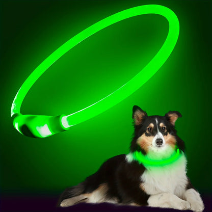 GlowSafe Dog Collar