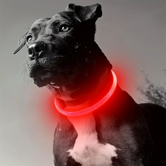 GlowSafe Dog Collar