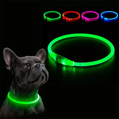 GlowSafe Dog Collar
