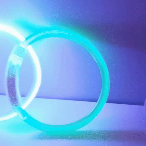 GlowSafe Dog Collar
