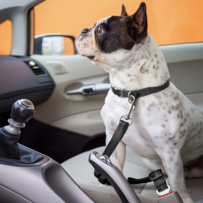 Adjustable Car Seat Belt - Pawfy