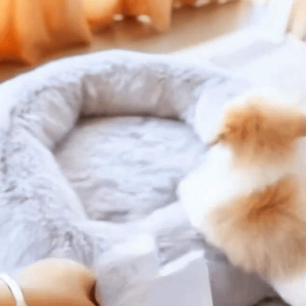 Cozy Paws Pet Bed