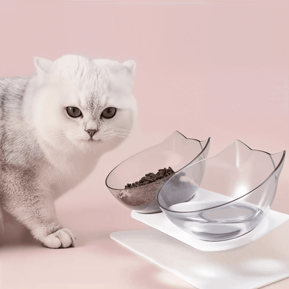 Cat Double Pet Bowls - Pawfy