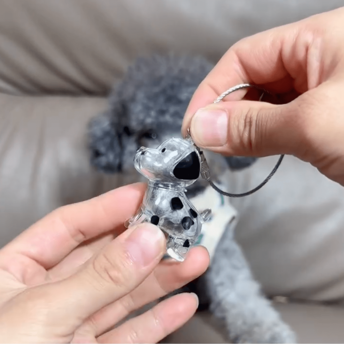Cherished Dog Memory Keychain - Pawfy