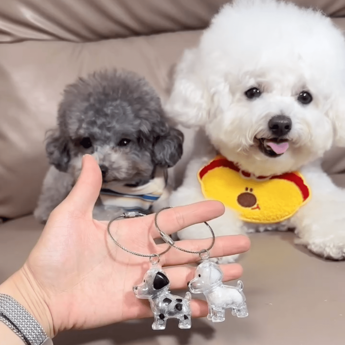 Cherished Dog Memory Keychain - Pawfy