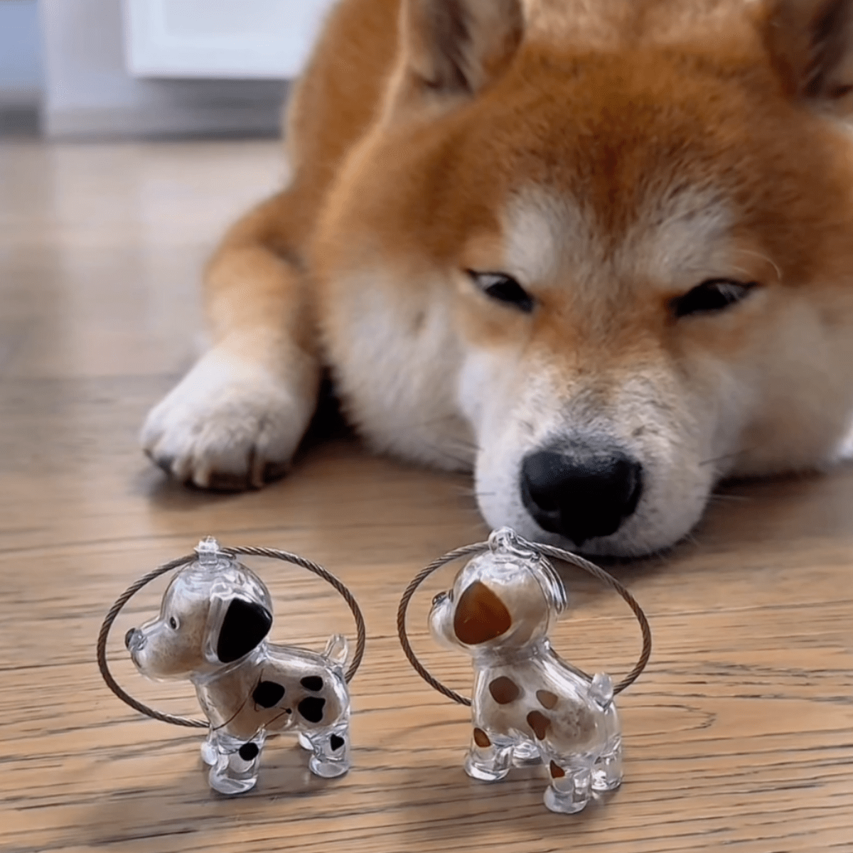 Cherished Dog Memory Keychain - Pawfy