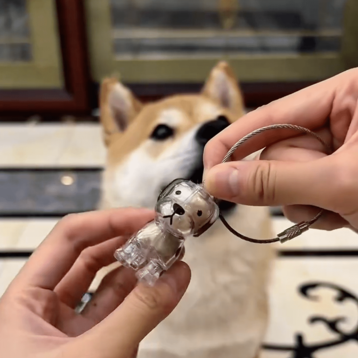 Cherished Dog Memory Keychain - Pawfy
