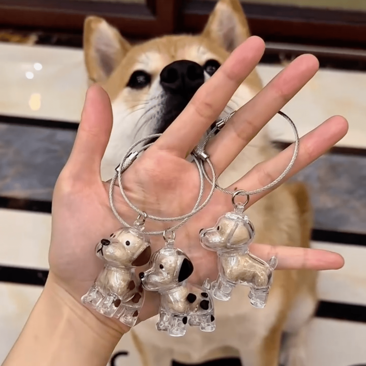 Cherished Dog Memory Keychain - Pawfy