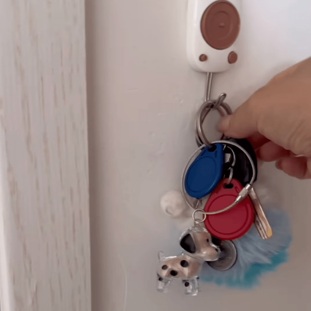 Cherished Dog Memory Keychain - Pawfy