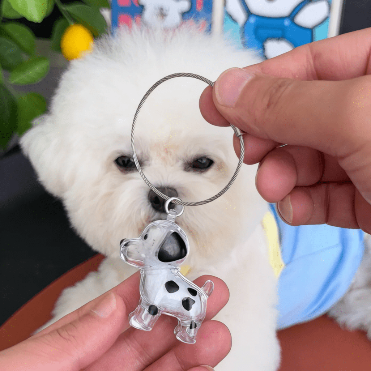 Cherished Dog Memory Keychain - Pawfy