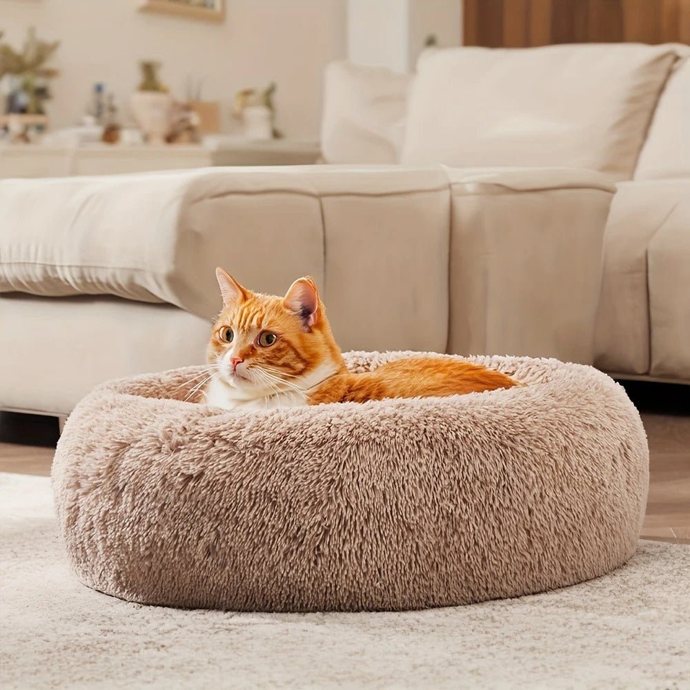 Cozy Paws Pet Bed - Pawfy
