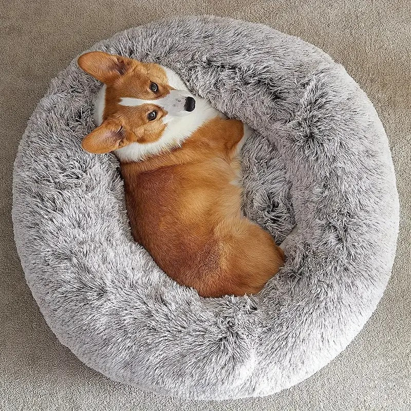 Cozy Paws Pet Bed - Pawfy