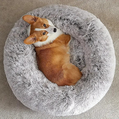 Cozy Paws Pet Bed - Pawfy