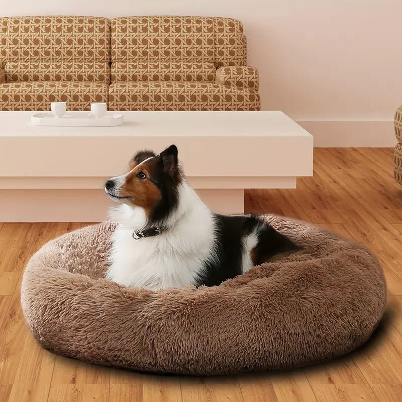 Cozy Paws Pet Bed - Pawfy