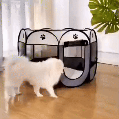 Portable Pet Tent Haven