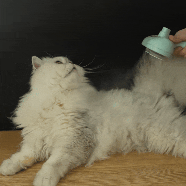Steam Pet Grooming Brush