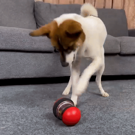 Smart Play Pet Feeder