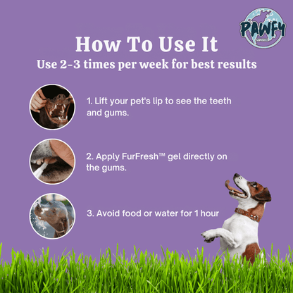 FurFresh™ | Dental Gel for Pets - Pawfy