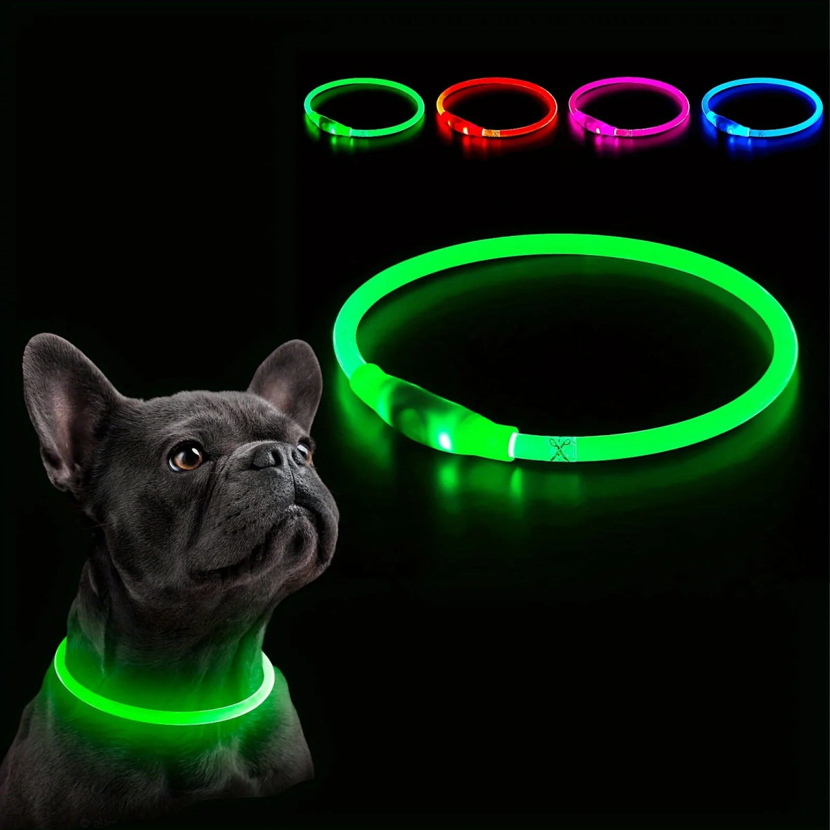 GlowSafe Dog Collar - Pawfy
