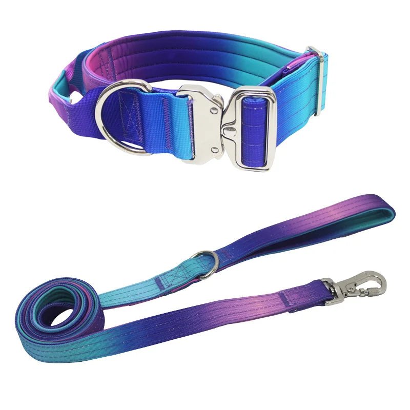 Gradient Dog Collar & Leash - Pawfy