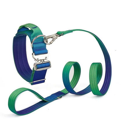 Gradient Dog Collar & Leash - Pawfy