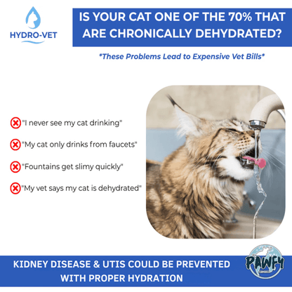 HydroVet™ | Cat Hydration Fountain - Pawfy