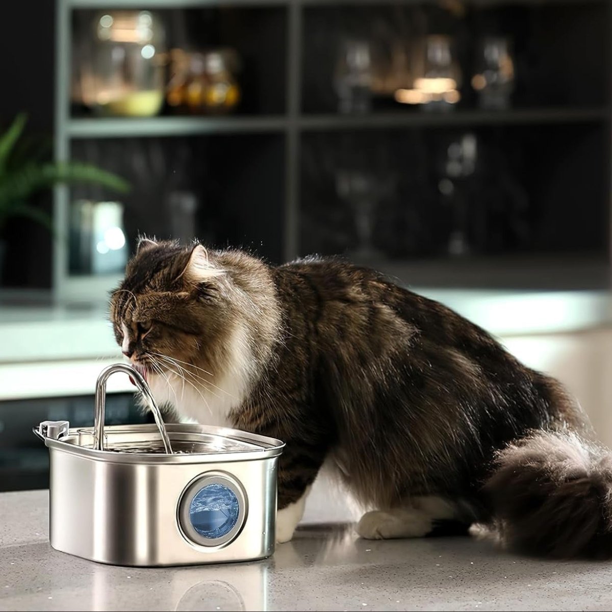 HydroVet™ Replacement Filters - Pawfy