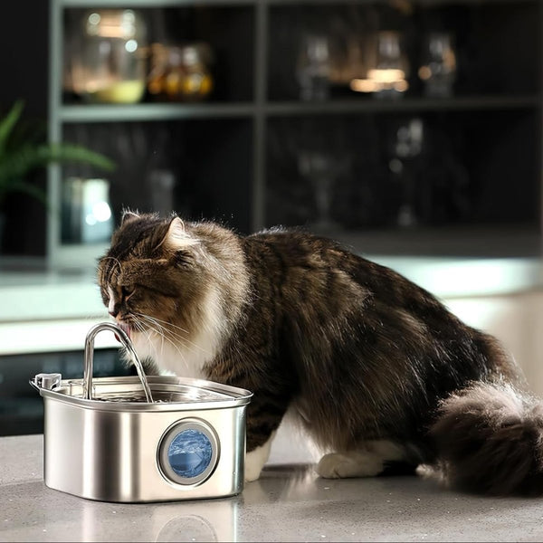 HydroVet™  Cat Hydration Fountain