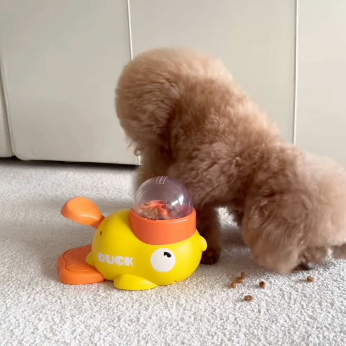 Pawfy Duck Treat Feeder