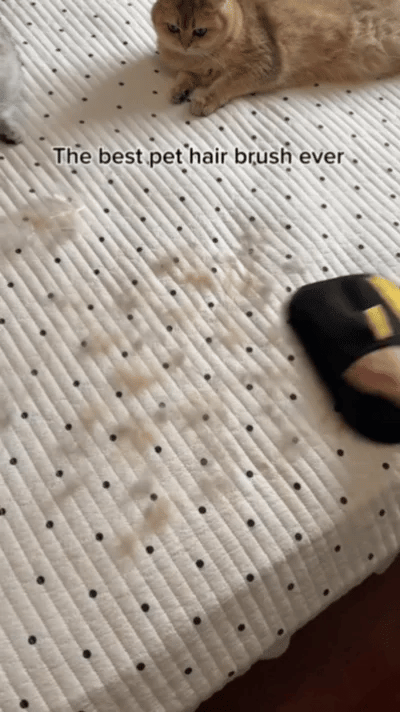 PetPal™ | #1 Best-Selling Pet Cleaning Glove