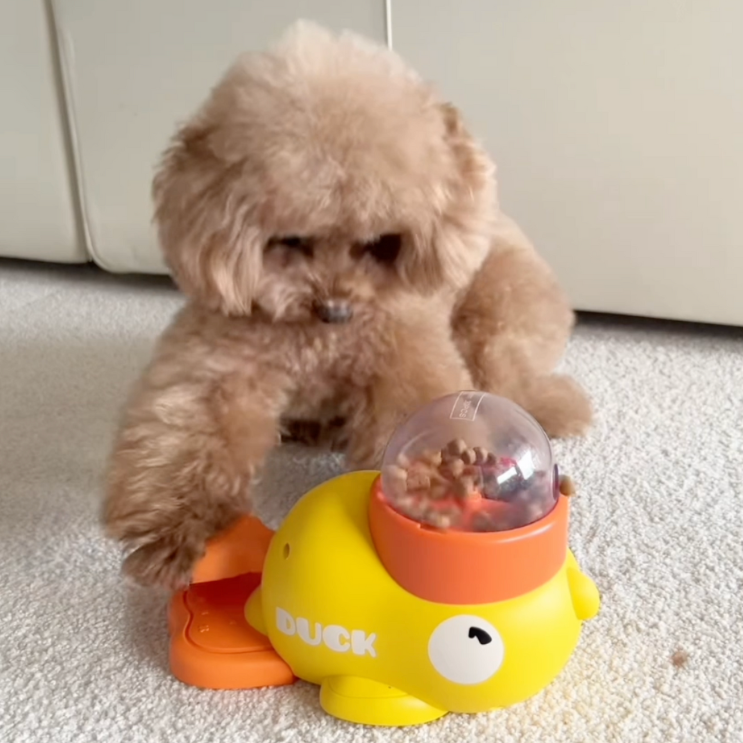 Pawfy Duck Treat Feeder