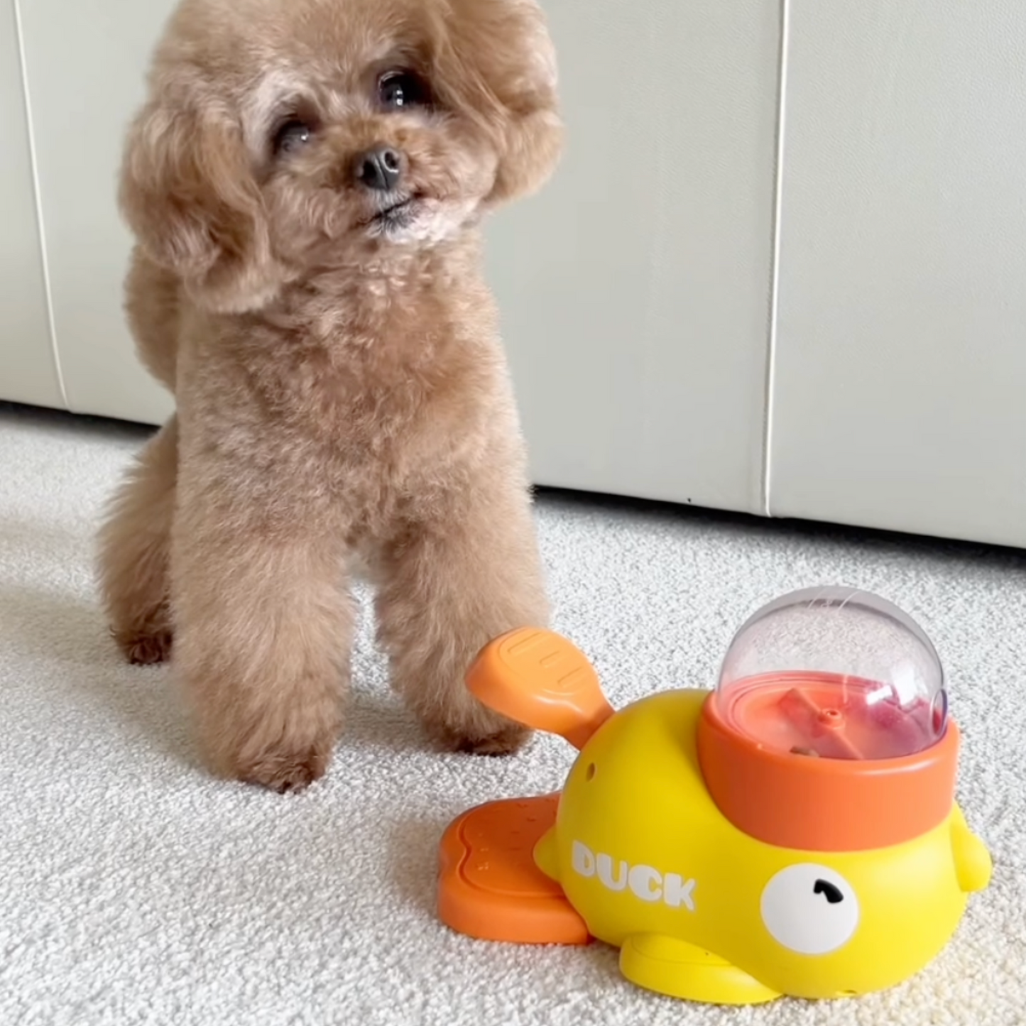 Pawfy Duck Treat Feeder