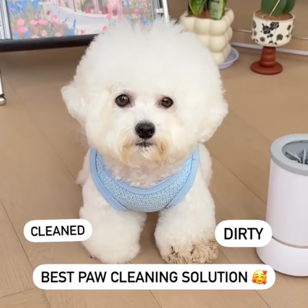 Chewie Paw Cleaner