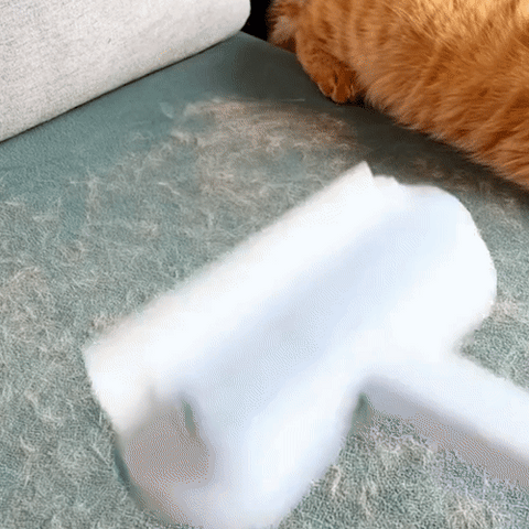 PetWipe Magic Fur Remover
