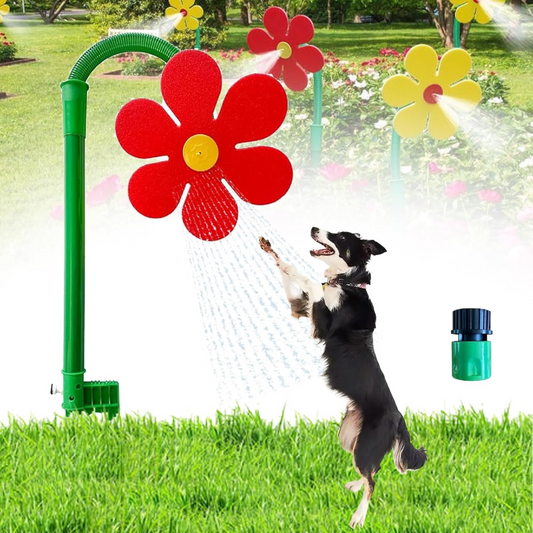 Viral Crazy Daisy