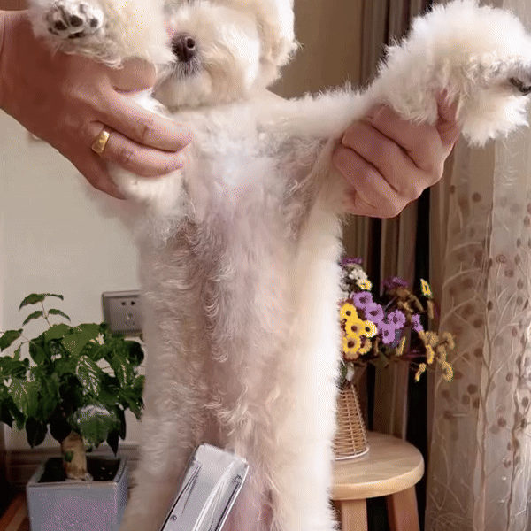 PawVac™