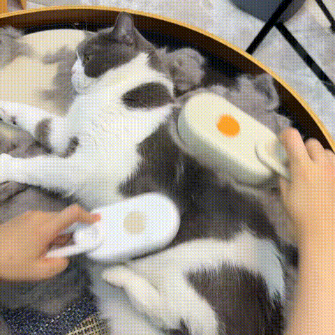 Steamy Pet Grooming Brush